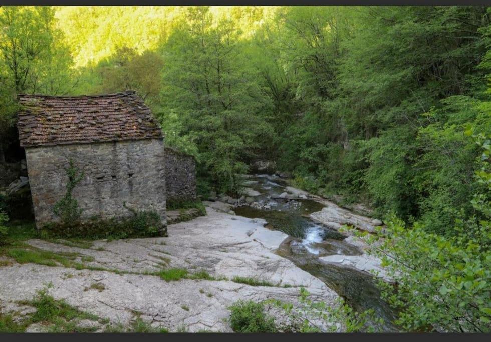 Wayne'S House, A Short Walk To The Waterfalls بانيوني المظهر الخارجي الصورة