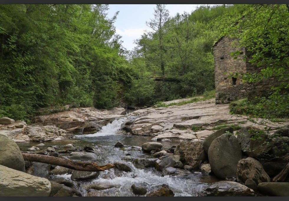 Wayne'S House, A Short Walk To The Waterfalls بانيوني المظهر الخارجي الصورة