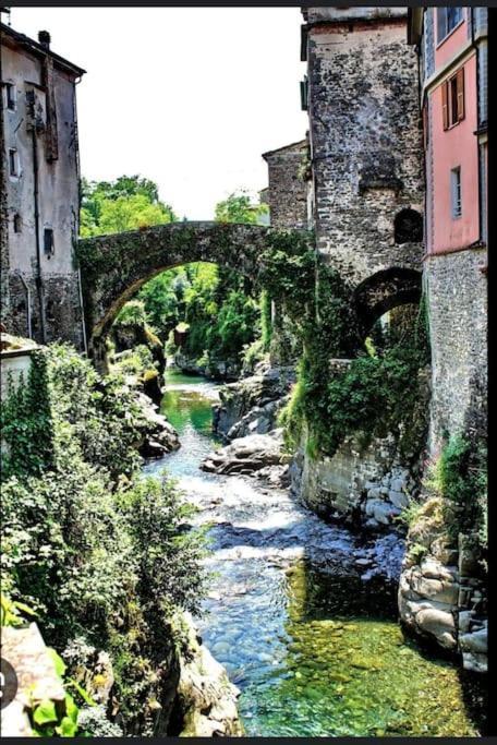 Wayne'S House, A Short Walk To The Waterfalls بانيوني المظهر الخارجي الصورة