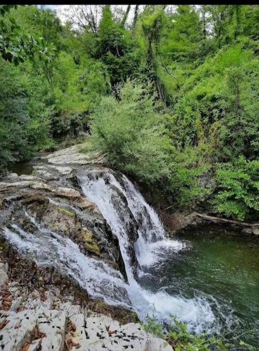 Wayne'S House, A Short Walk To The Waterfalls بانيوني المظهر الخارجي الصورة